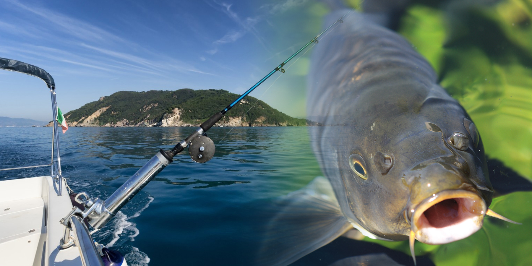 会社案内や企業案内の動画は、難しい内容であっても視聴者に伝える力があります。