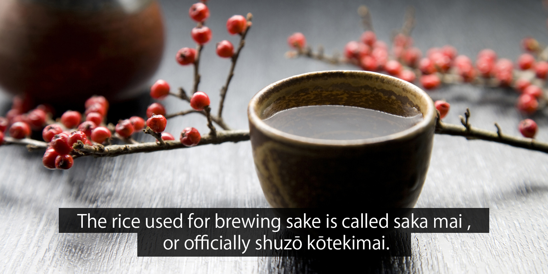 会社案内や企業案内の動画は、難しい内容であっても視聴者に伝える力があります。