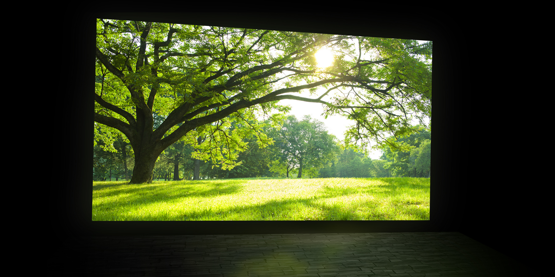 プレゼン動画をより効果的にする大型モニターの貸し出しも行います。